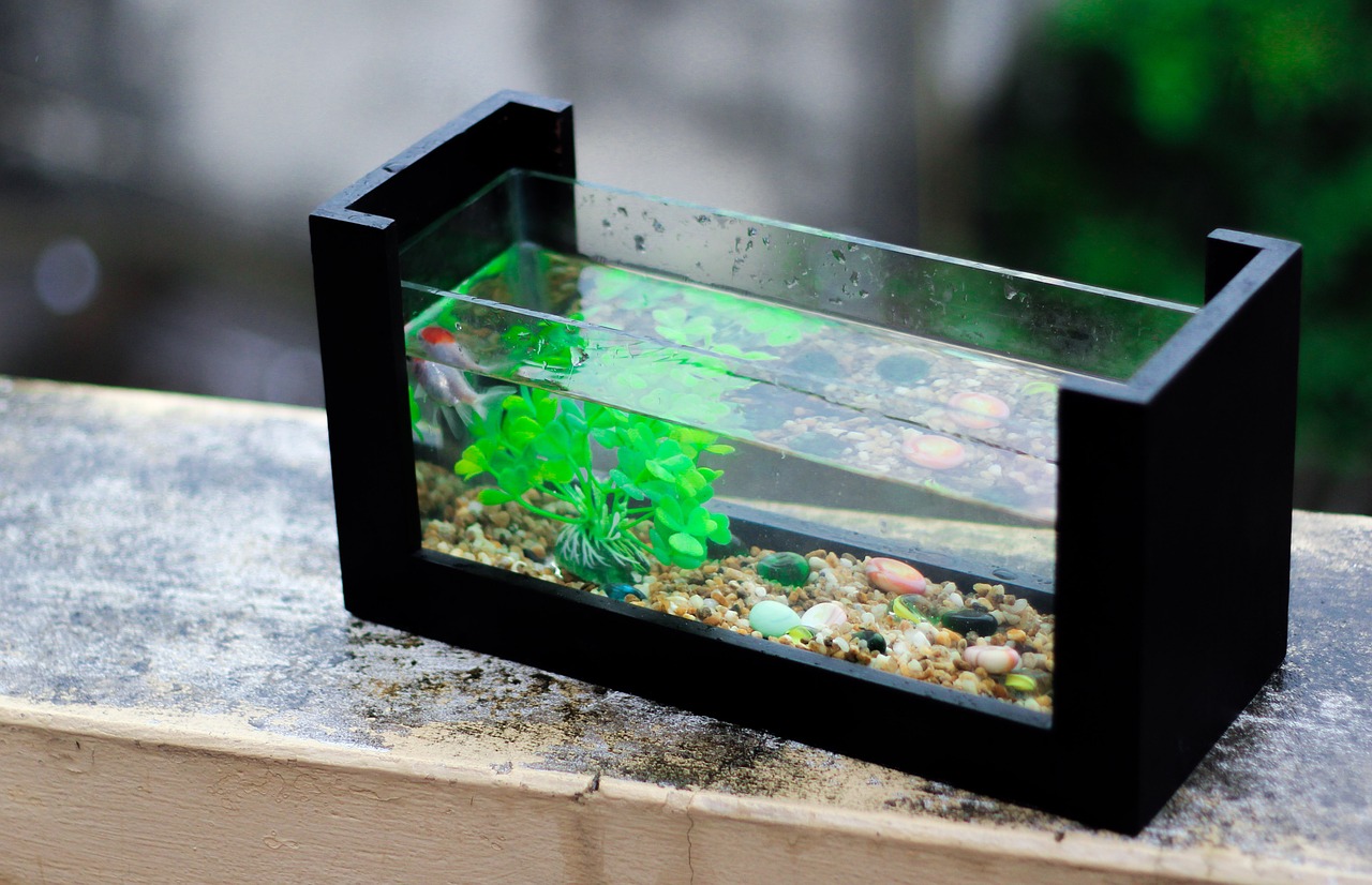 Keelholte Perfect Rentmeester Aquarium accessoires - Must haves voor je aquarium