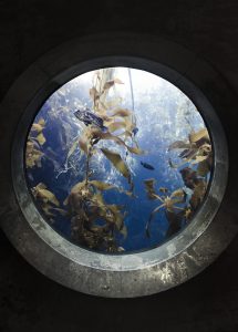 achterwand aquarium