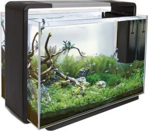 aquarium 100 liter