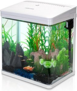 goedkope aquarium