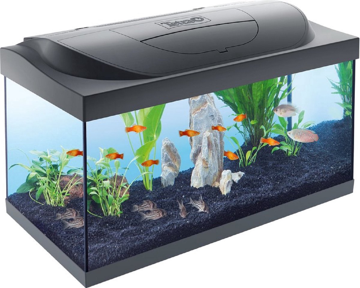 Aquarium 30 liter Voor de meer ervaren persoon Hoeveel vissen