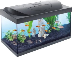 aquarium 60 liter